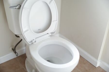 wc borstel rubber
